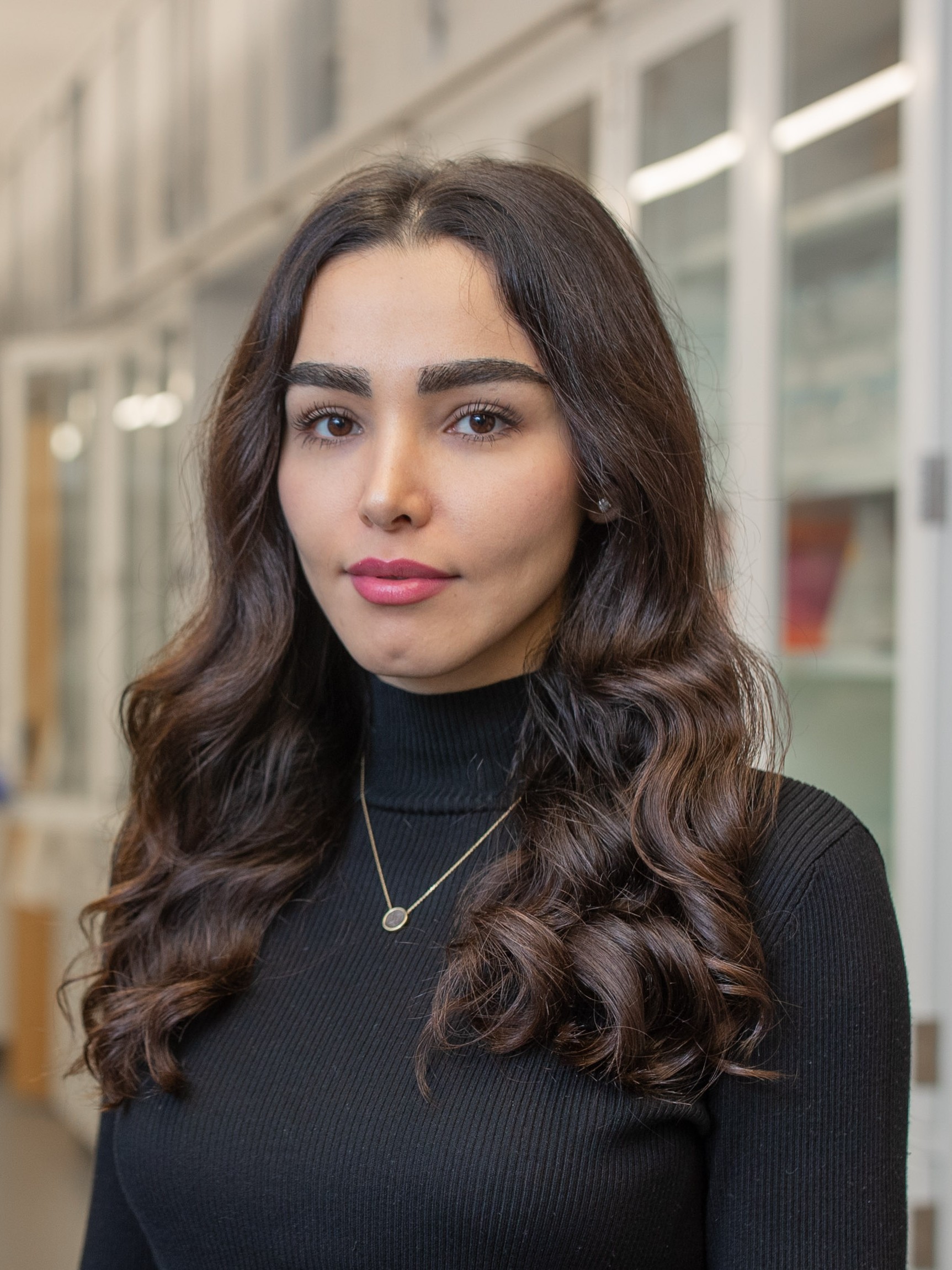 Faezeh Akbari